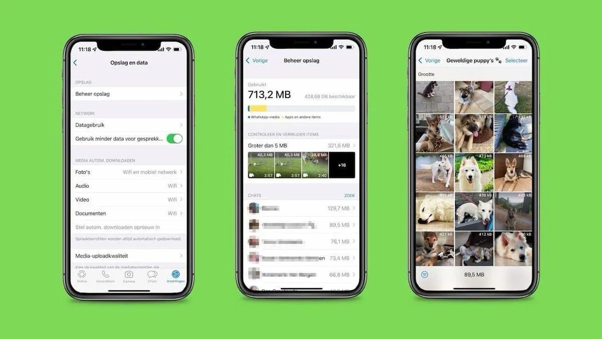 WhatsApp storage management large files
